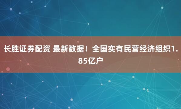 长胜证券配资 最新数据！全国实有民营经济组织1.85亿户